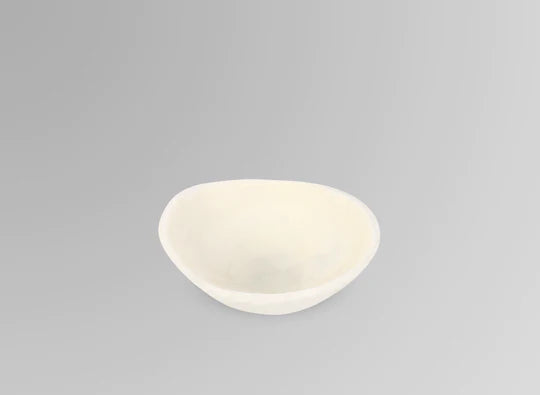 Dishes