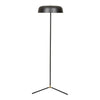 Easton Canopy Floor Lamp - Black Metal