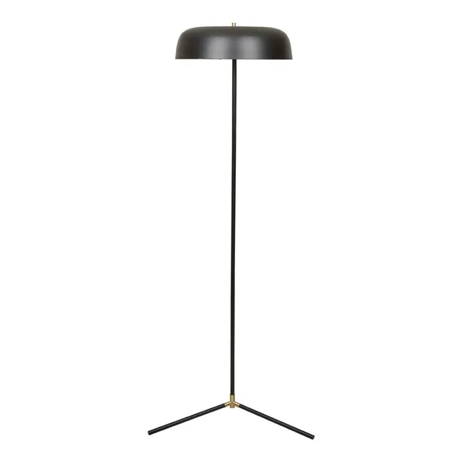 Easton Canopy Floor Lamp - Black Metal