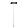 Easton Canopy Floor Lamp - Black Metal