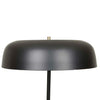 Easton Canopy Floor Lamp - Black Metal