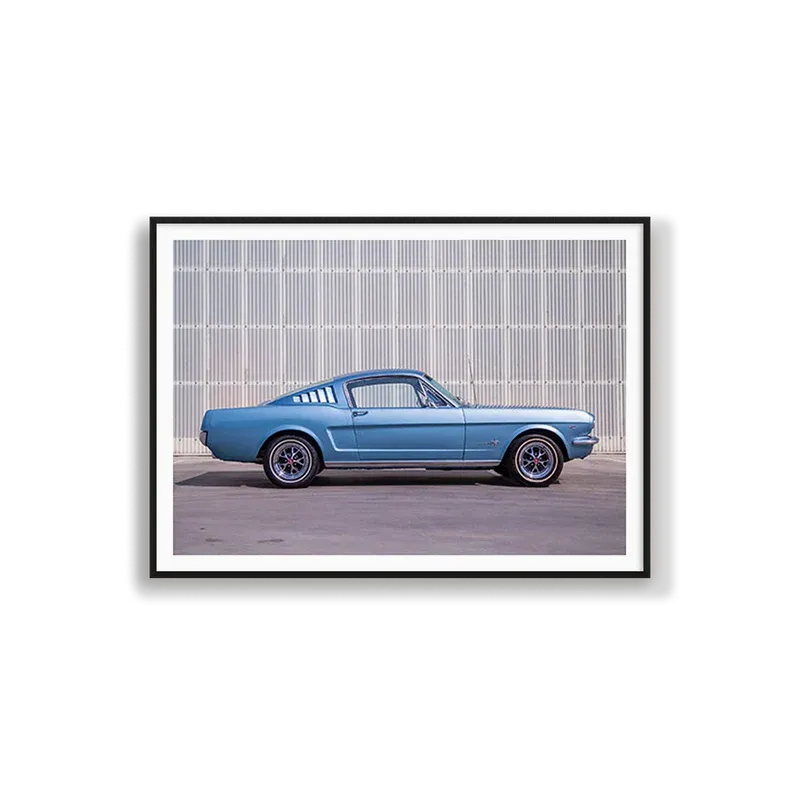 Blue Mustang