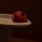 Seed Tray