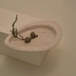 Seed Tray