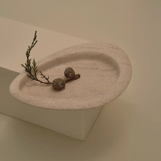 Seed Tray